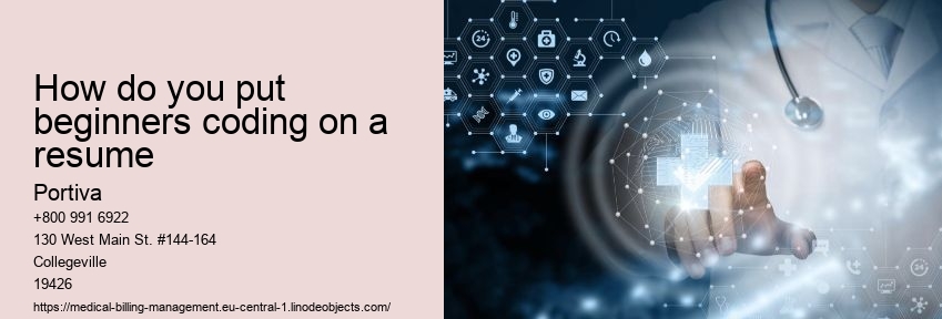 How do you put beginners coding on a resume