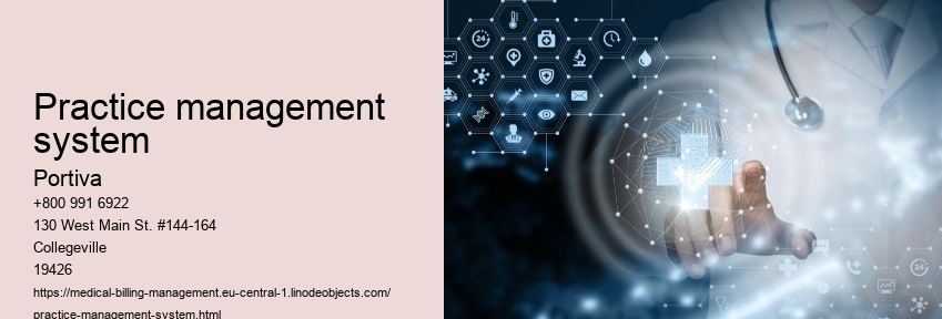 practice management system